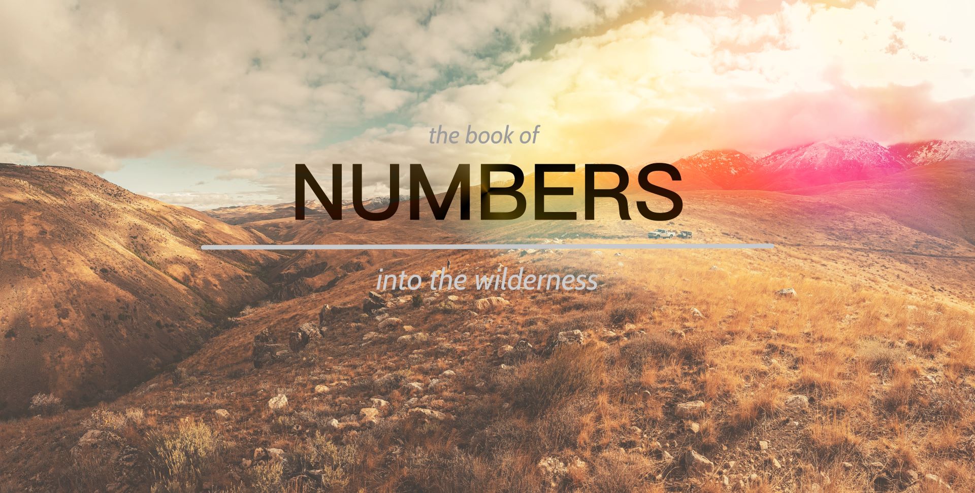 Numbers: Into the Wilderness